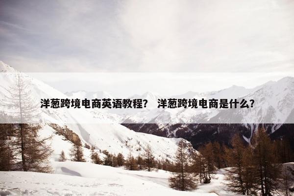 洋葱跨境电商英语教程？ 洋葱跨境电商是什么？