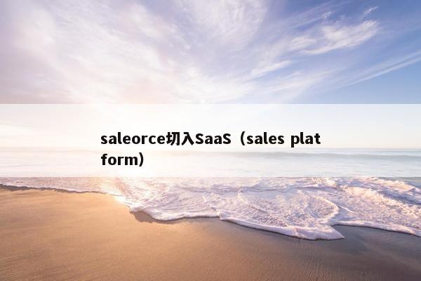 saleorce切入SaaS（sales platform）