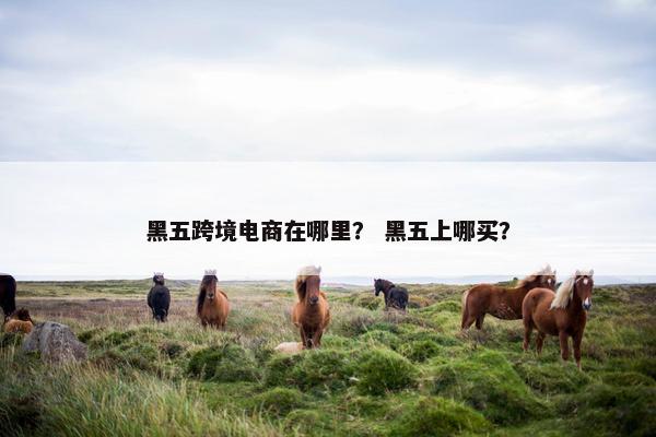 黑五跨境电商在哪里？ 黑五上哪买？