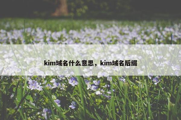 kim域名什么意思，kim域名后缀