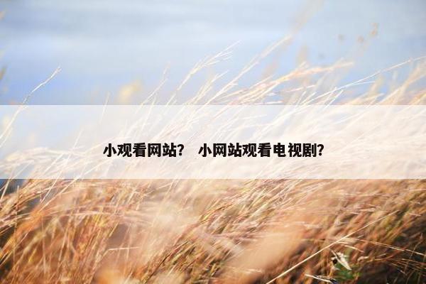 小观看网站？ 小网站观看电视剧？