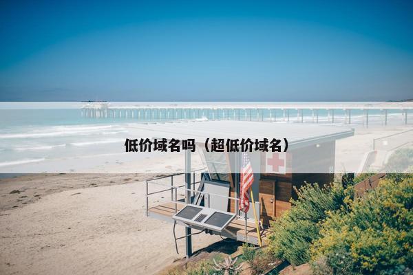 低价域名吗（超低价域名）