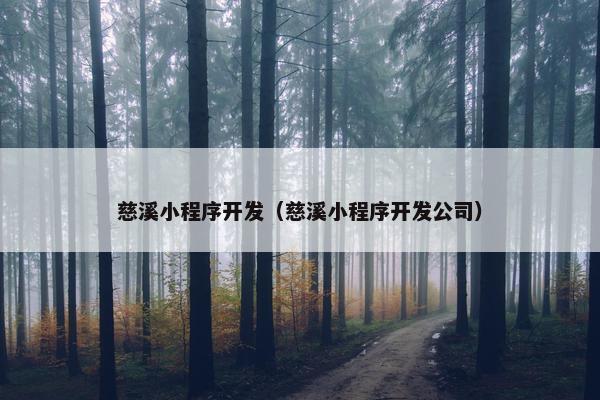 慈溪小程序开发（慈溪小程序开发公司）