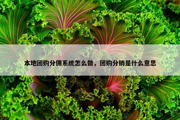 本地团购分佣系统怎么做，团购分销是什么意思