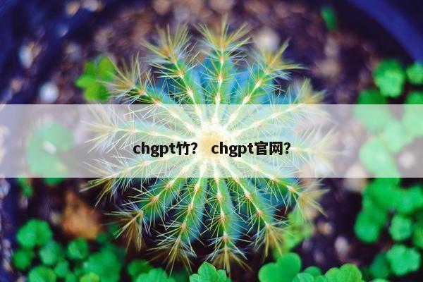 chgpt竹？ chgpt官网？