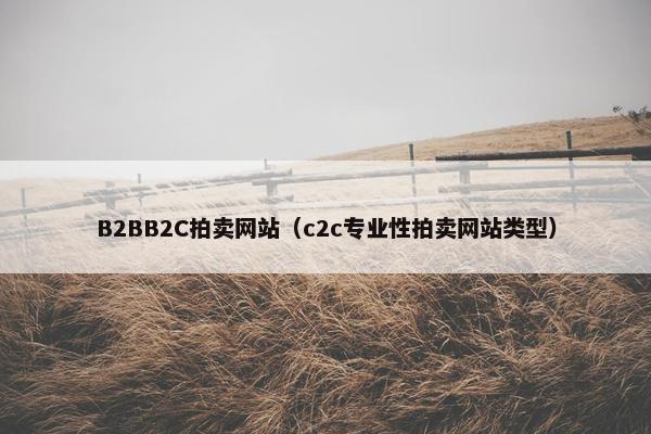 B2BB2C拍卖网站（c2c专业性拍卖网站类型）