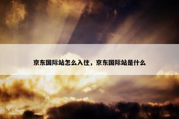 京东国际站怎么入住，京东国际站是什么