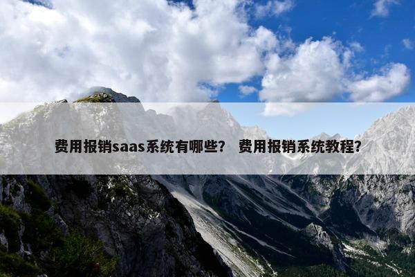 费用报销saas系统有哪些？ 费用报销系统教程？