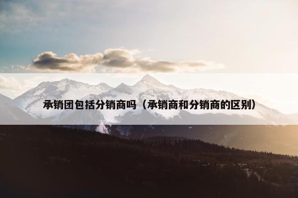 承销团包括分销商吗（承销商和分销商的区别）