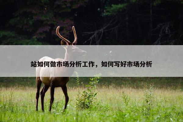 站如何做市场分析工作，如何写好市场分析