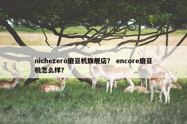 nichezero磨豆机旗舰店？ encore磨豆机怎么样？