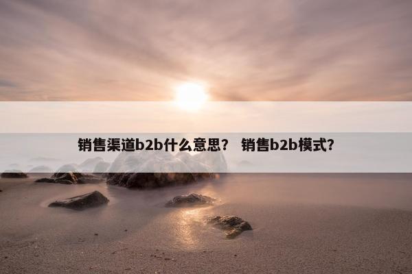 销售渠道b2b什么意思？ 销售b2b模式？