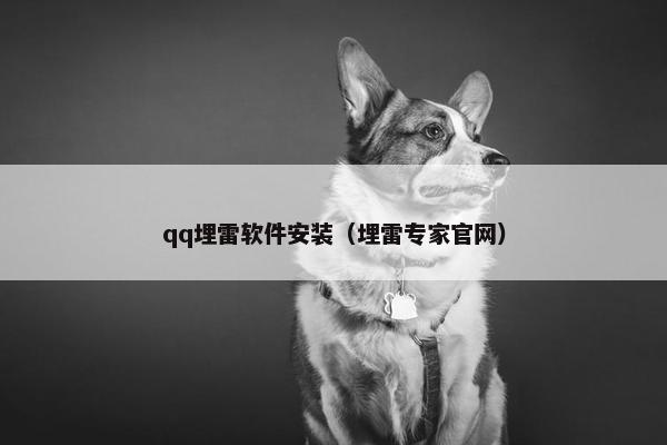 qq埋雷软件安装（埋雷专家官网）