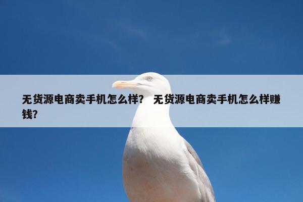 无货源电商卖手机怎么样？ 无货源电商卖手机怎么样赚钱？