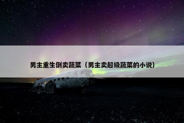 男主重生倒卖蔬菜（男主卖超级蔬菜的小说）