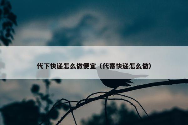 代下快递怎么做便宜（代寄快递怎么做）