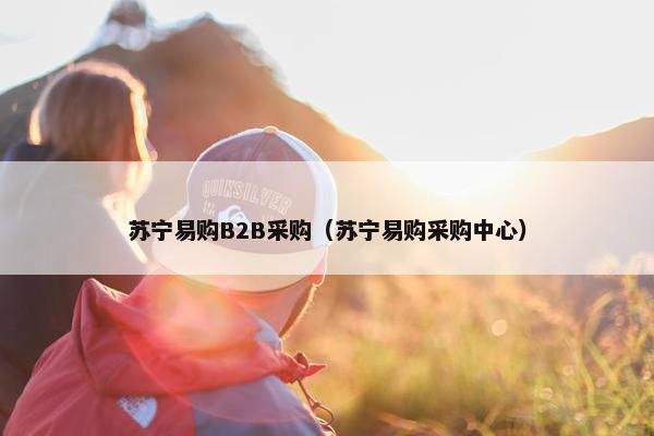 苏宁易购B2B采购（苏宁易购采购中心）