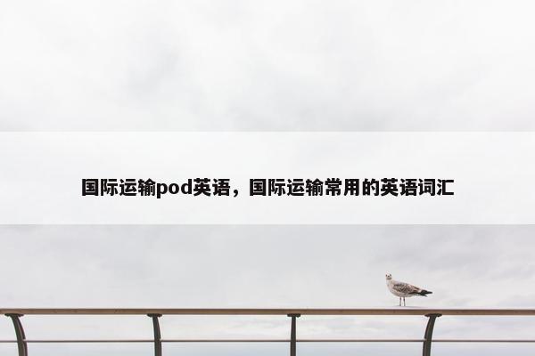 国际运输pod英语，国际运输常用的英语词汇