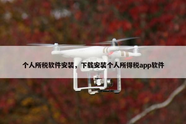 个人所税软件安装，下载安装个人所得税app软件