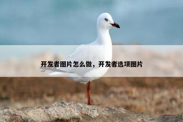 开发者图片怎么做，开发者选项图片