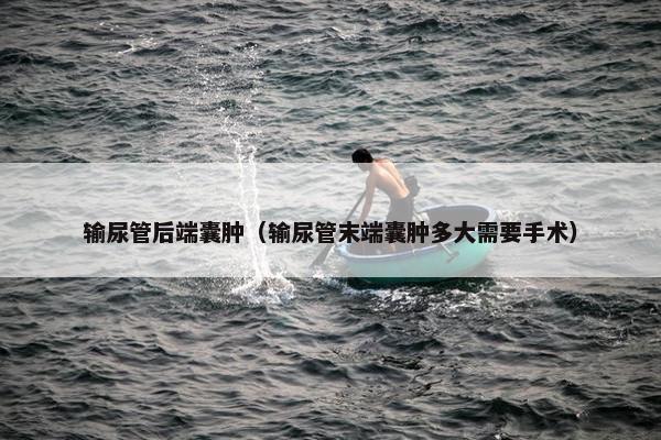 输尿管后端囊肿（输尿管末端囊肿多大需要手术）