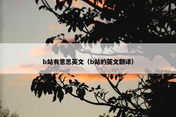 b站有意思英文（b站的英文翻译）
