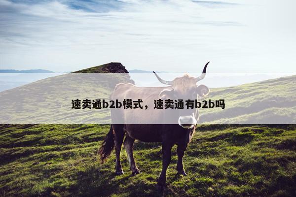 速卖通b2b模式，速卖通有b2b吗