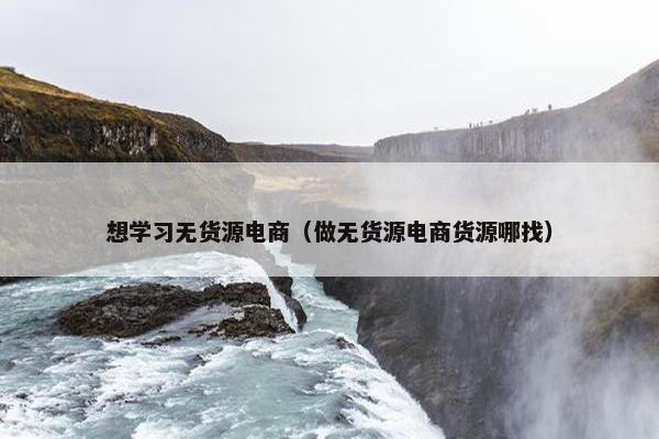 想学习无货源电商（做无货源电商货源哪找）
