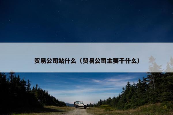 贸易公司站什么（贸易公司主要干什么）
