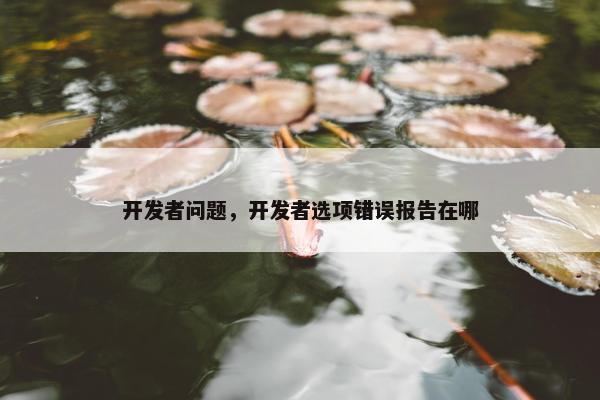 开发者问题，开发者选项错误报告在哪