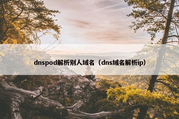 dnspod解析别人域名（dns域名解析ip）