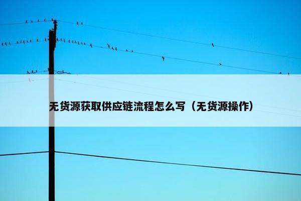 无货源获取供应链流程怎么写（无货源操作）