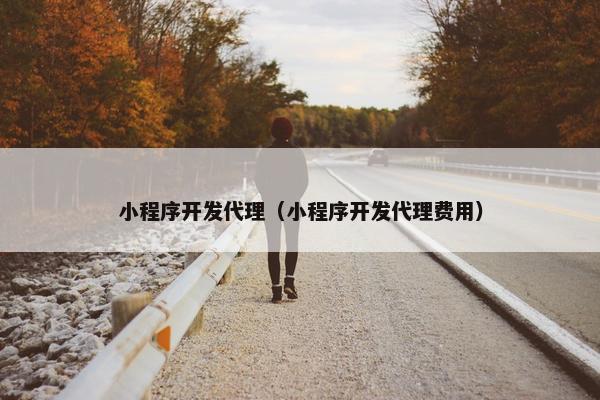 小程序开发代理（小程序开发代理费用）
