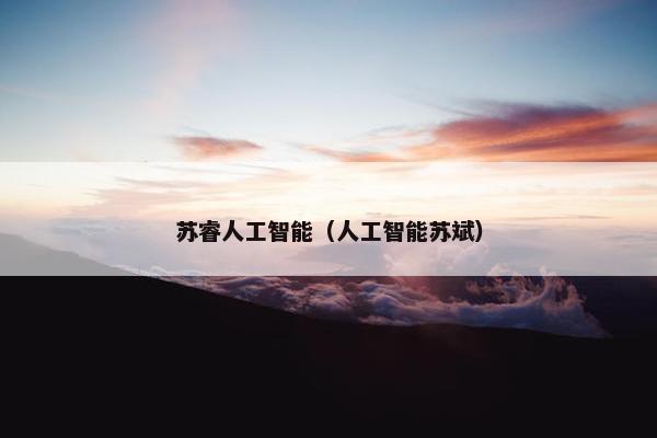 苏睿人工智能（人工智能苏斌）