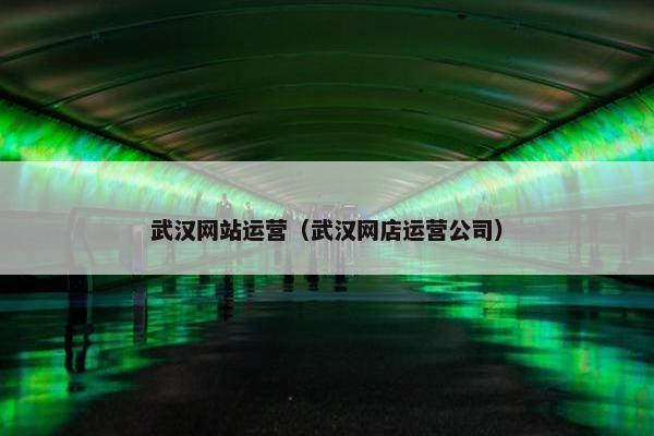 武汉网站运营（武汉网店运营公司）