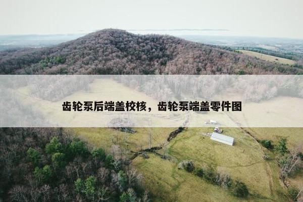 齿轮泵后端盖校核，齿轮泵端盖零件图