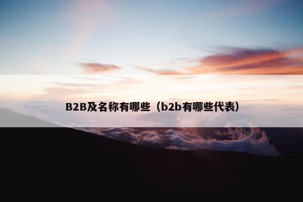 B2B及名称有哪些（b2b有哪些代表）