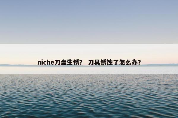 niche刀盘生锈？ 刀具锈蚀了怎么办？