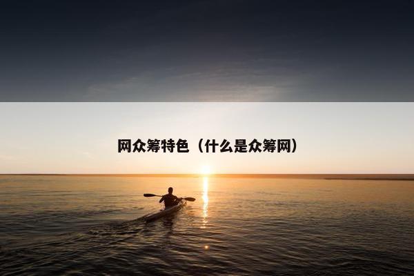 网众筹特色（什么是众筹网）
