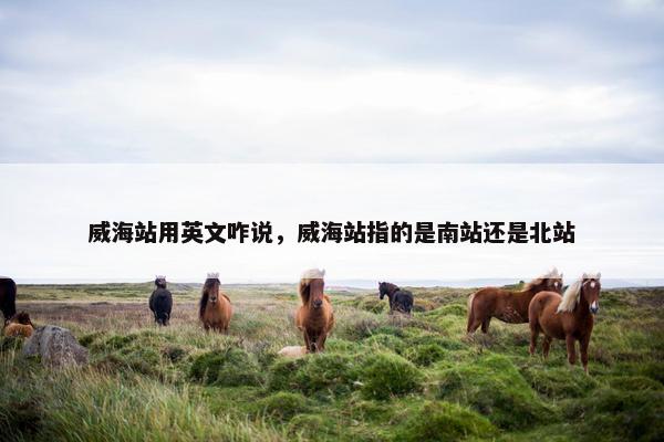 威海站用英文咋说，威海站指的是南站还是北站