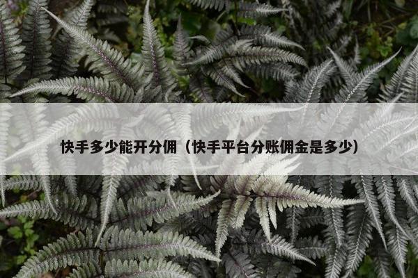 快手多少能开分佣（快手平台分账佣金是多少）