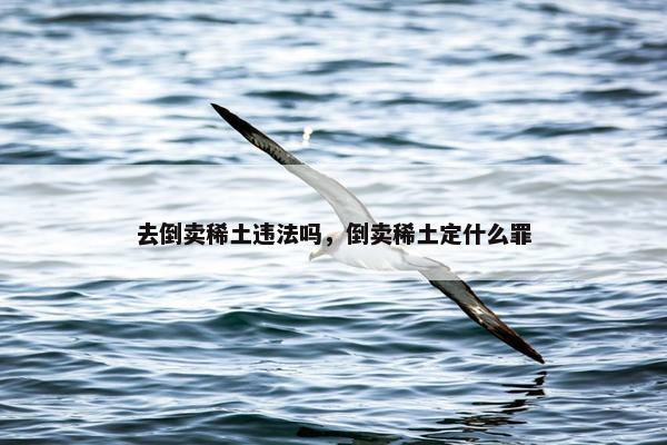 去倒卖稀土违法吗，倒卖稀土定什么罪