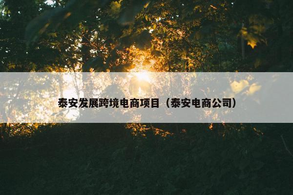 泰安发展跨境电商项目（泰安电商公司）