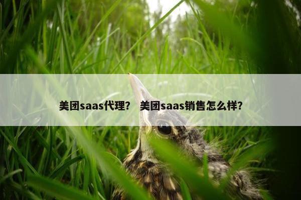 美团saas代理？ 美团saas销售怎么样？