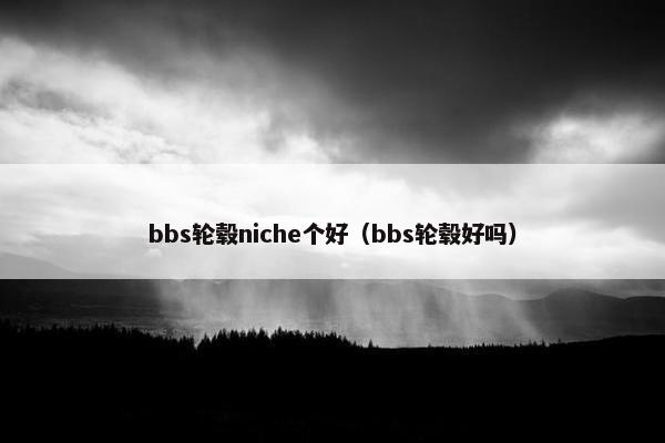 bbs轮毂niche个好（bbs轮毂好吗）