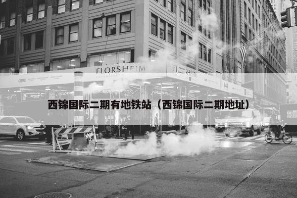 西锦国际二期有地铁站（西锦国际二期地址）