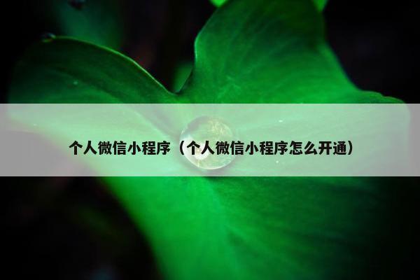 个人微信小程序（个人微信小程序怎么开通）