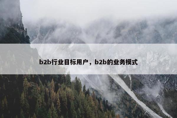 b2b行业目标用户，b2b的业务模式