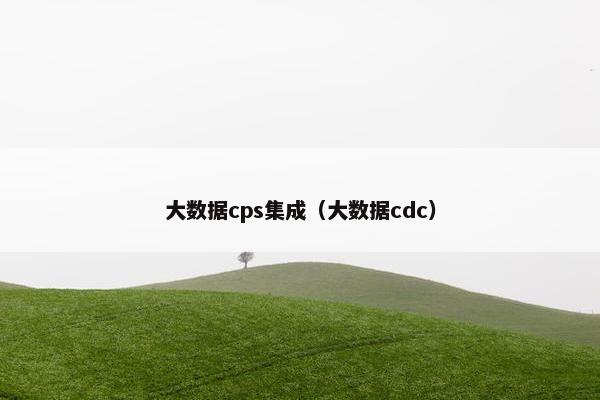 大数据cps集成（大数据cdc）