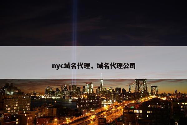 nyc域名代理，域名代理公司